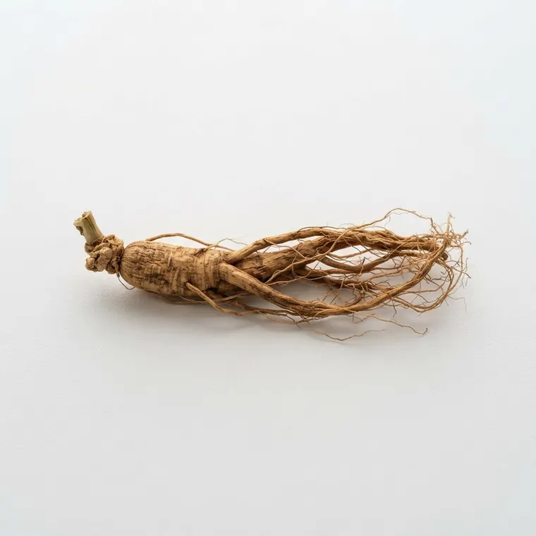 AI-gegenereerde afbeelding: Ginseng